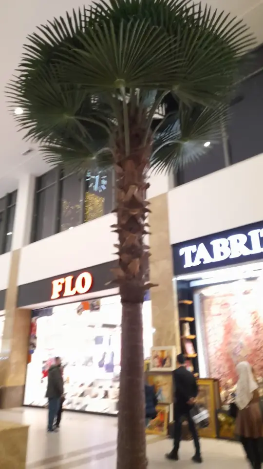 FLO Suleymaniye Majidi Mall · Sulaymaniyah (Silêmanî)