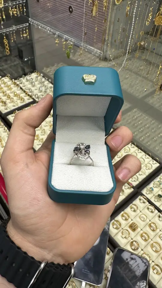 Glena Goldsmith · Sulaymaniyah (Silêmanî)