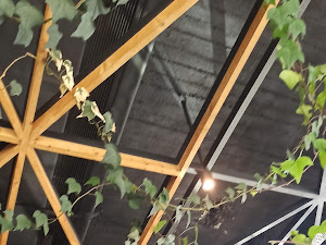 وێنەی پێداچوونەوەی کڕیار بۆ Grand Cafe & Restaurant مطعم و كافي گراند