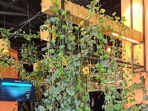 وێنەی پێداچوونەوەی کڕیار بۆ Grand Cafe & Restaurant مطعم و كافي گراند