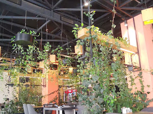 وێنەی پێداچوونەوەی کڕیار بۆ Grand Cafe & Restaurant مطعم و كافي گراند