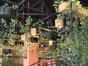 وێنەی پێداچوونەوەی کڕیار بۆ Grand Cafe & Restaurant مطعم و كافي گراند